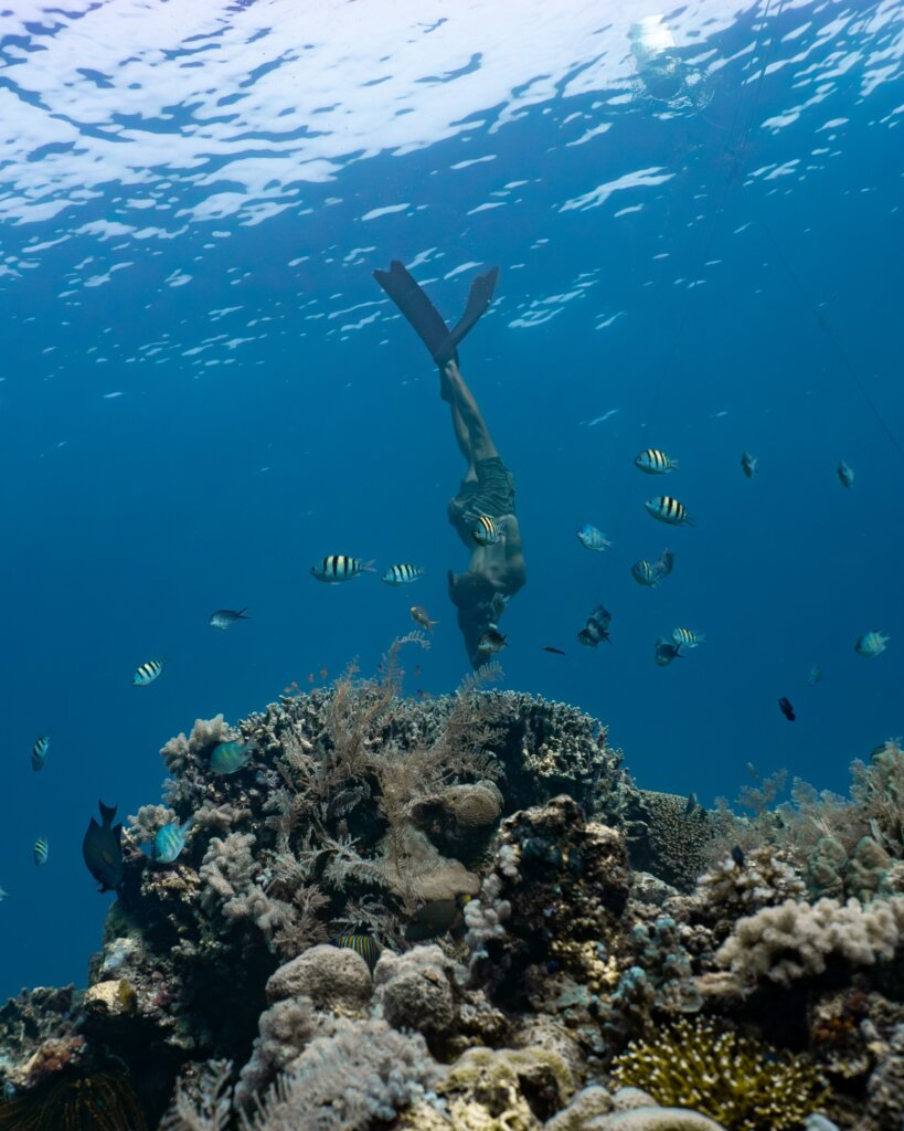 A freediver going down surrounded by corals and fish, in Tubod Marine Sanctuary.